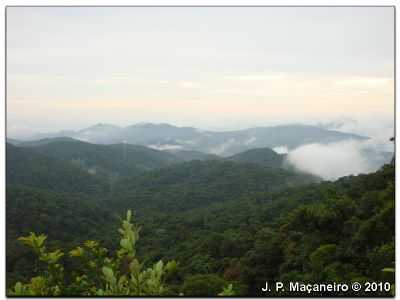 GUABIRUBA NO PARQUE NACIONAL DA SERRA DO ITAJA, POR J. P. MAANEIRO - GUABIRUBA - SC