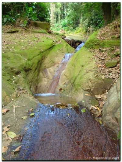 RIBEIRO - PARQUE NACIONAL DA SERRA DO ITAJA, POR J. P. MAANEIRO - GUABIRUBA - SC