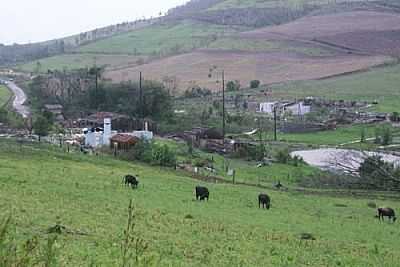 GUARACIABA - FOTO
POR VANDERLEI FEISTLER - GUARACIABA - SC