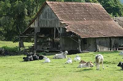 PAIOL DE FAZENDA-FOTO:CELSO MLLER  - GUARAMIRIM - SC