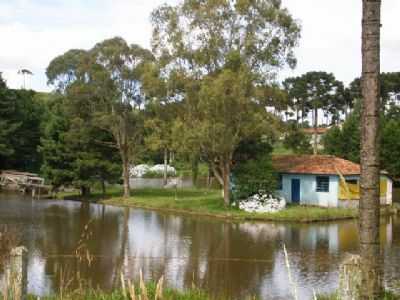  FAZENDA SANTAREM, POR CLAYTON MURILO CANTU - HERCILIPOLIS - SC