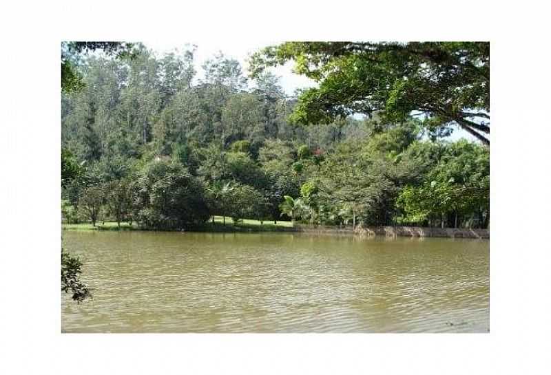 FLORESTA DE IBIRAMA - IBIRAMA - SC