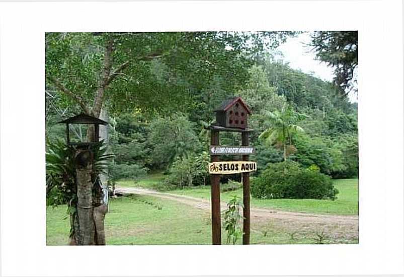 FLORESTA DE IBIRAMA - IBIRAMA - SC
