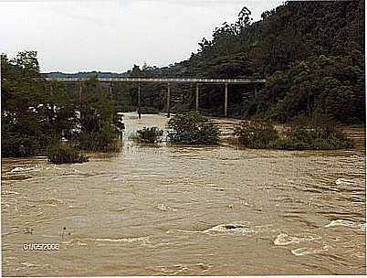 PONTE DA BR 470 SOBRE O RIO HERCLIO - IBIRAMA POR ANDR LUIZ KOPELKE  - IBIRAMA - SC