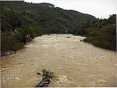 RIO ITAJA-AU  FOTO
POR ANDR LUIZ KOPELKE - IBIRAMA - SC