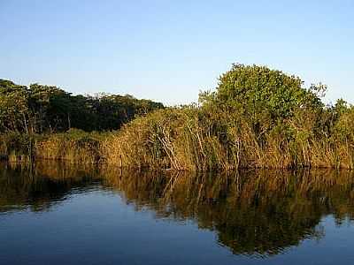 LAGOA DO RINCO
POR TURRUN - IARA - SC