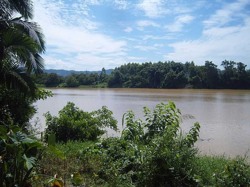 RIO ITAJA-AU - ILHOTA - SC - POR CLAUDIA VENTURI  - ILHOTA - SC