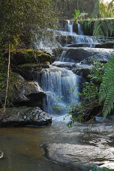 POR ANTONELLO FOTOS - INVERNADA - SC