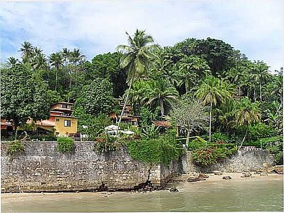 MATA E CASAS EM MORRO DE SO PAULO-BA-FOTO:RICO DRUMMOND - MORRO DE SO PAULO - BA
