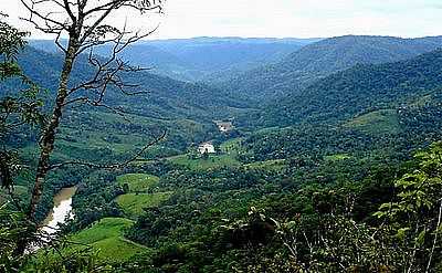 IMAGEM DO RIO ITAJA (ITAIPOLIS, SC) - ITAIPOLIS - SC