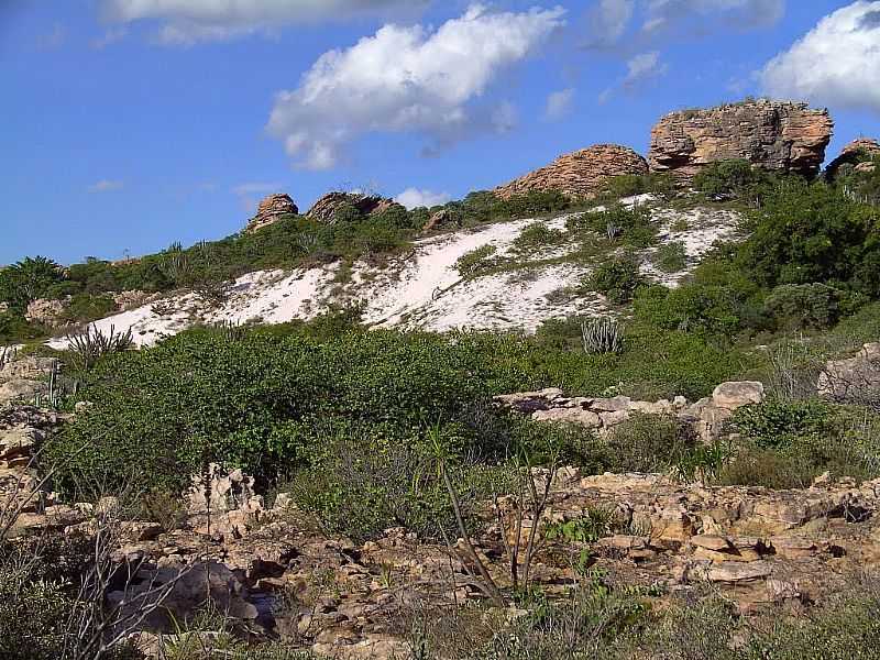 MORRO DO CHAPU-BA-CAMPO RUPESTRE E DUNA NA CAATINGA-FOTO:CAIO GRACO MACHADO - MORRO DO CHAPU - BA