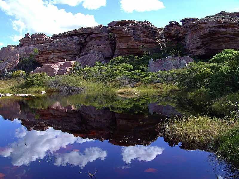 MORRO DO CHAPU-BA-CAMPO RUPESTRE E LAGOA-FOTO:CAIO GRACO MACHADO - MORRO DO CHAPU - BA