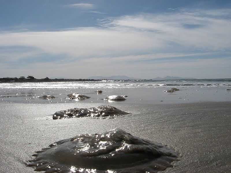 ITAPO-SC-PEDRAS NA PRAIA DE ITAPEMA DO NORTE-FOTO:WALTER MRIO GAGNO - ITAPO - SC