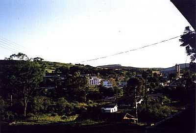 JABOR POR YANTO LAITANO - JABOR - SC