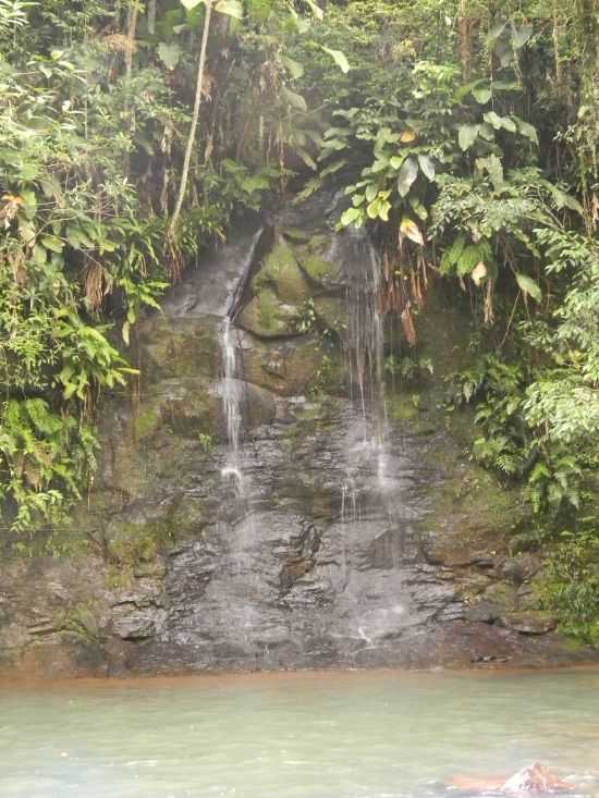 CACHOEIRA DO BURIN, POR ALINE - JACINTO MACHADO - SC