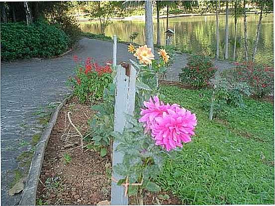 FLORES NO PARQUE MALWEE EM JARAGU DO SUL-SC-FOTO:ADRIANO BRAUN - JARAGU DO SUL - SC