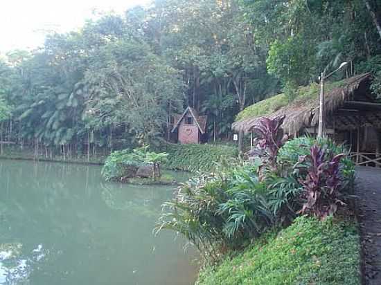 ORLA DO LAGO NO PARQUE MALWEE EM JARAGU DO SUL-SC-FOTO:ADRIANO BRAUN - JARAGU DO SUL - SC