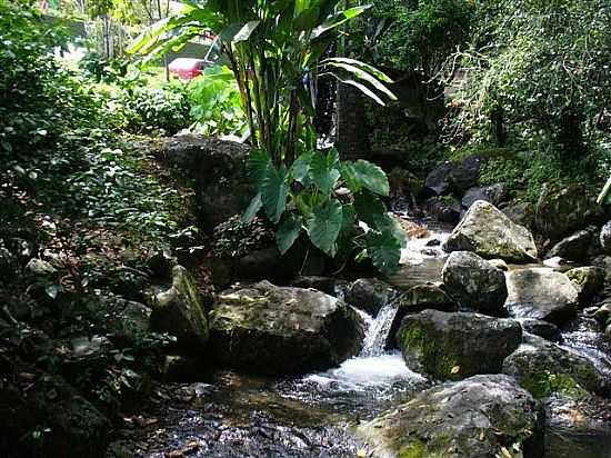 RIBEIRO NA ARWEG EM JARAGU DO SUL-SC-FOTO:CELSO RENE MULLER - JARAGU DO SUL - SC