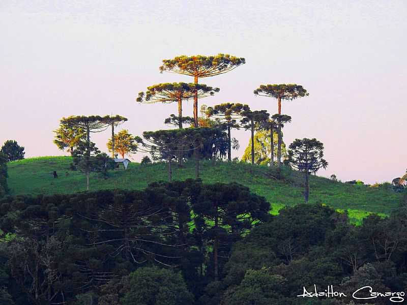 IMAGENS DA CIDADE DE LAGES - SC - LAGES - SC