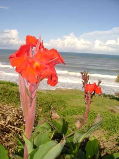 PRAIA DO FAROL, POR JOS MACHADO LAURINDO - LAGUNA - SC