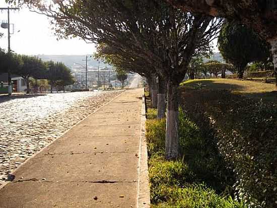 AVENIDA ARBORIZADA EM LEBON RGIS-FOTO:EDUARDO PIERDON - LEBON RGIS - SC