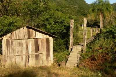 SITIO, POR HEITOR AQUINO DE CAMPOS - LEOBERTO LEAL - SC