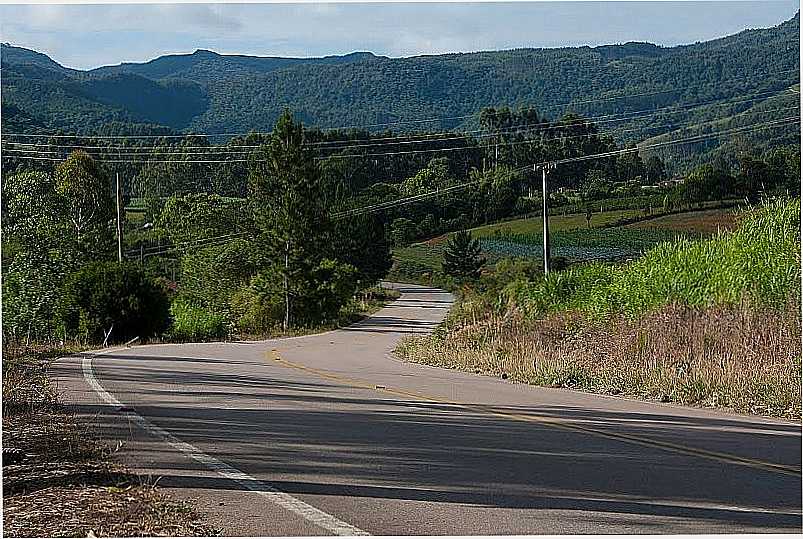 ESTRADA LONTRAS - PRESIDENTE NEREU  - POR LEO LAPS  - LONTRAS - SC