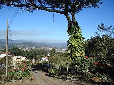 LONTRAS POR JOS CARLOS DE CARVA. - LONTRAS - SC