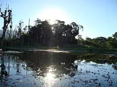 PAISAGEM DE LONTRAS POR RODRIGO_DALBERTO - LONTRAS - SC