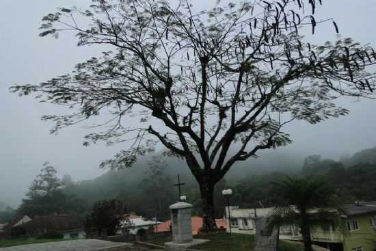  NEBLINA, POR MARIA APARECIDA - LUIZ ALVES - SC