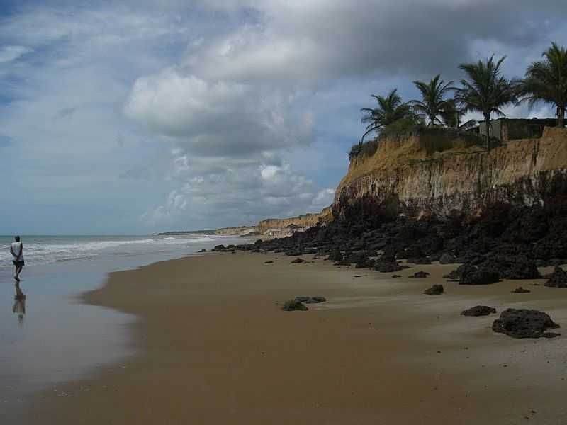 MUCURI-BA-FALSIAS EM COSTA DOURADA-FOTO:LANA MARIA MIRANDA - MUCURI - BA