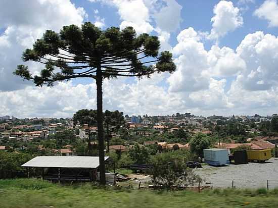 VISTA PARCIAL DE MAFRA-SC-FOTO:LEONIR ANGELO LUNARD - MAFRA - SC