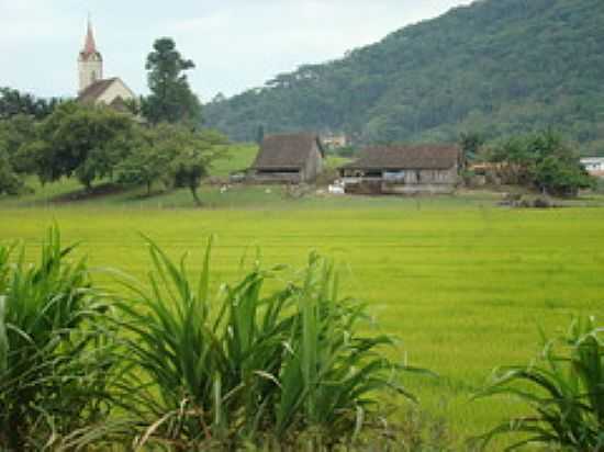 CASAS E AO FUNDO A TORRE DA IGREJA EM MASSARANDUBA-FOTO:♣_VALMICE_ ♣ - MASSARANDUBA - SC