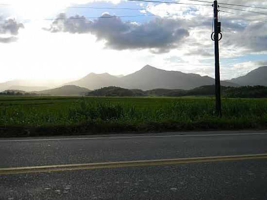 ESTRADA,ARROZ,MONTANHAS E SOL EM MASSARANDUBA-SC-FOTO:FELPZS - MASSARANDUBA - SC