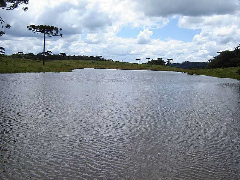 MATOS COSTA-SC-REPRESA NA FAZENDA CAMPO ALTO-FOTO:ALCEU BENDLIN - MATOS COSTA - SC