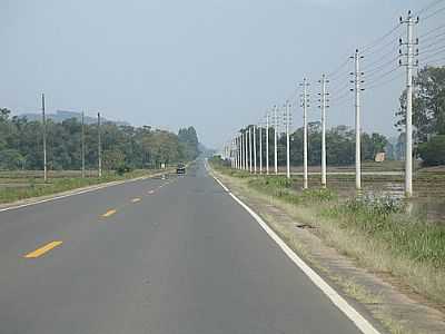 SC-448 ENTRE MELEIRO E TURVO - MELEIRO - SC