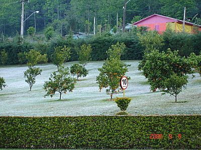 INVERNO EM MONDAI POR VANDERLEI FEISTLER - MONDAÍ - SC