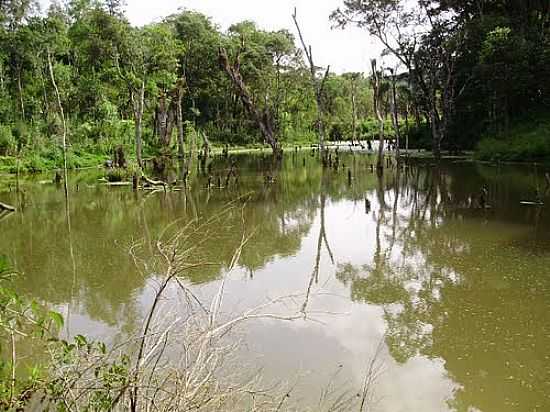 LAGO NATURAL EM MONTE CASTELO-SC-FOTO:JAIR TEIXEIRA - MONTE CASTELO - SC