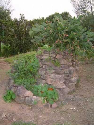 ESPIRAL DE ERVAS-FOTO:MARCELO VENTURI1 - MORRO DA FUMAA - SC