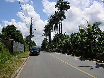 ESTRADA-FOTO:ADOLIR DETTMER - MORRO DO MEIO - SC