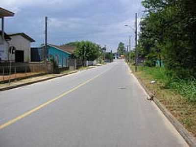 RUA EM MORRO DO MEIO-FOTO:ADOLIR DETTMER - MORRO DO MEIO - SC