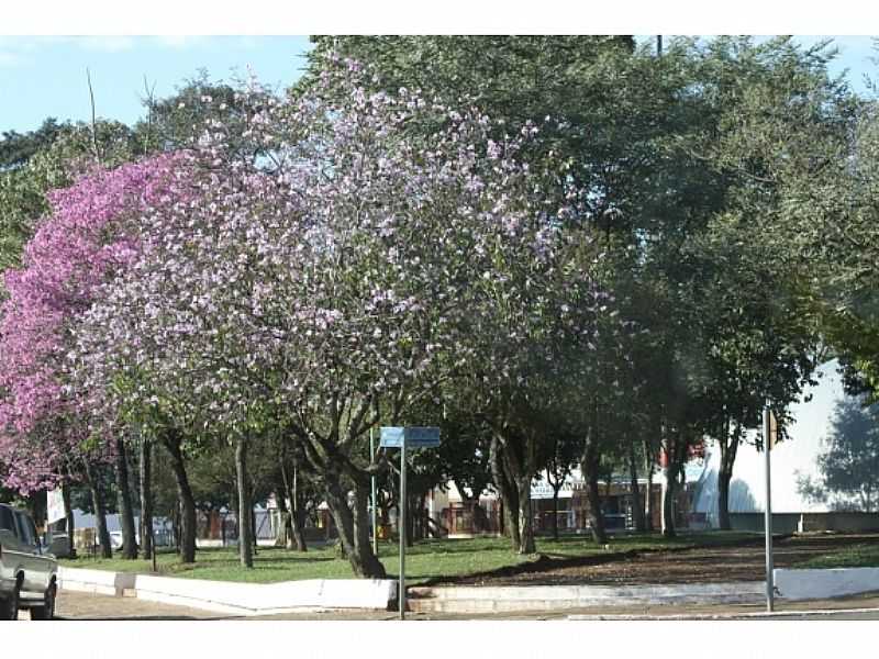 NOVA ERECHIM - SC - FOTO PREFEITURA MUNICIPAL - NOVA ERECHIM - SC