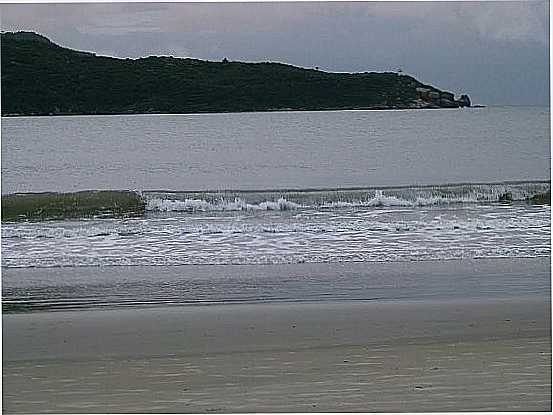 PALHOA-SC-PRAIA DO SONHO-FOTO:PAULO CT BITTENCOURT - PALHOA - SC