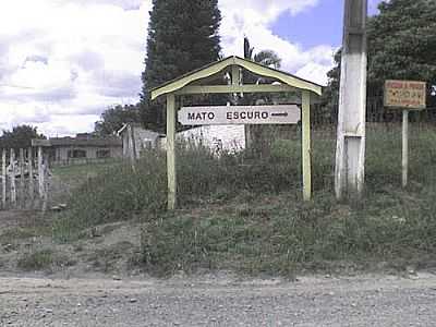 PALMEIRA-FOTO:GERTHAL  - PALMEIRA - SC