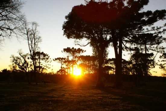 POR DO SOL EM PAPANDUVA, POR LUIZ CARLOS OCZKOVSKI - PAPANDUVA - SC