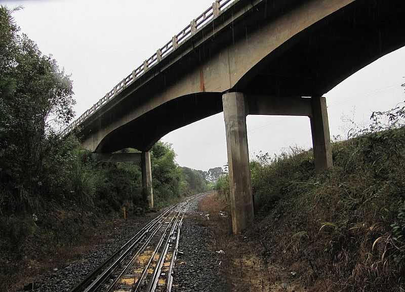 VIADUTO SOBRE A FERROVIA-BR 116-PAPANDUVA - POR SIDNEI RECCO - PAPANDUVA - SC