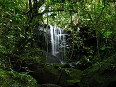 CACHOEIRA DO CIP-FOTO:IVO KINDEL  - PASSO MANSO - SC