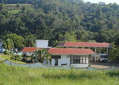 PERITIBA RODOVIRIA POR EGON ROHDE - PERITIBA - SC