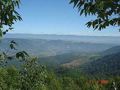 SERRA DO MORRO DA PINDOTIBA-FOTO:----BARBARA BIANCO--  - PINDOTIBA - SC