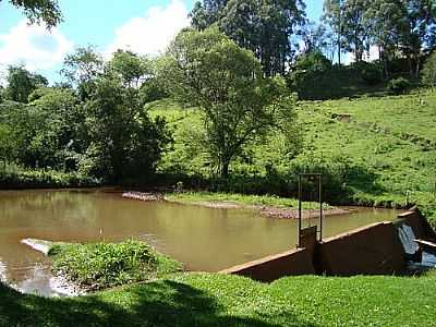 REPRESA DE CAPTAO DE GUA-FOTO:ALEX CARNIEL  - PINHALZINHO - SC